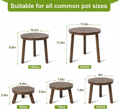 5 Wooden Plant Stands, Various Sizes from 3.9-11.8 Inches