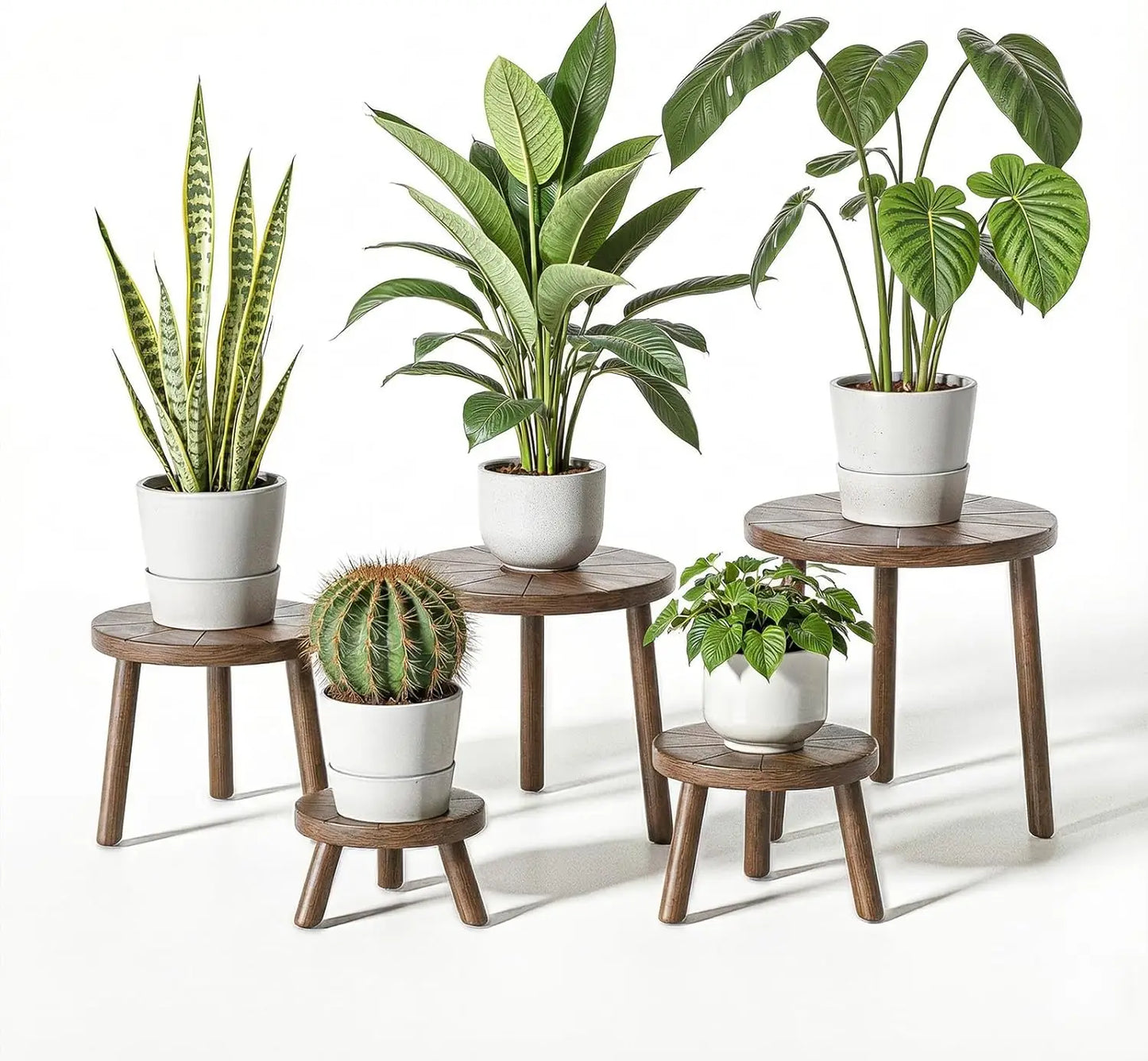 5 Wooden Plant Stands, Various Sizes from 3.9-11.8 Inches